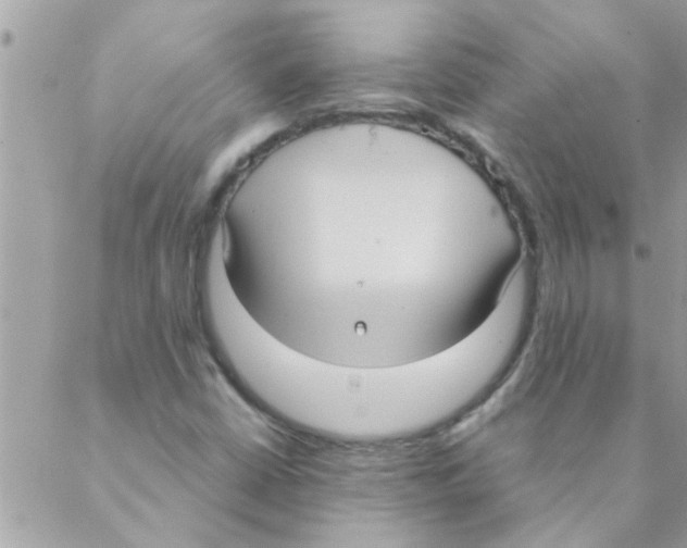 X0000088231402200706121844