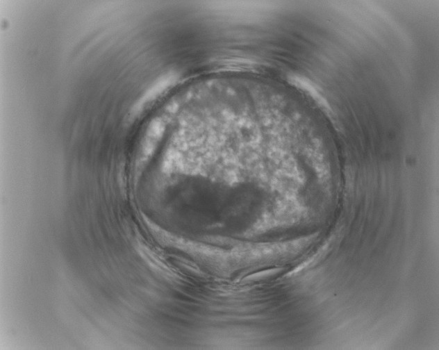 X0000088231403200706121844