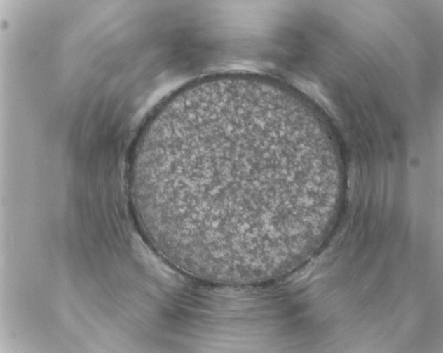 X0000088231404200706121844