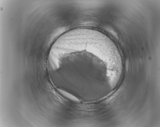 X0000088231405200706121844