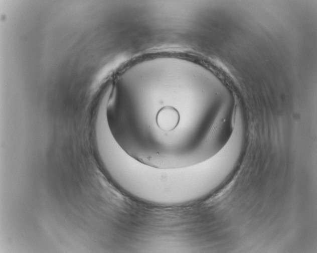 X0000088231406200706121844