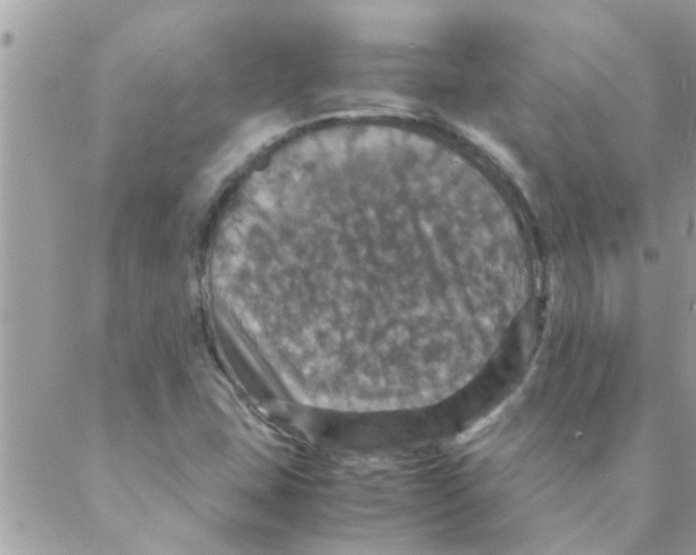 X0000088231407200706121844