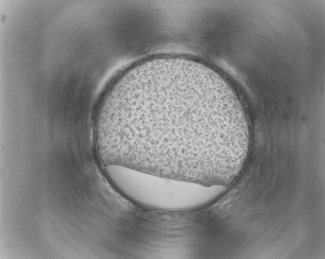 X0000088231408200706121844