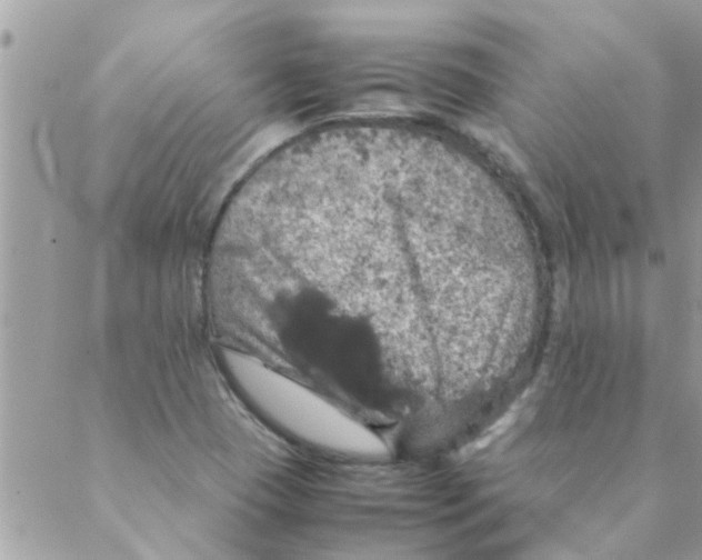 X0000088231409200706121844