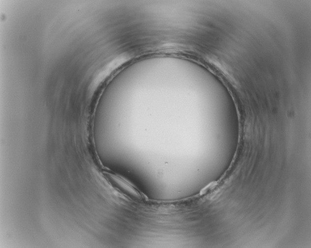 X0000088231410200706121844