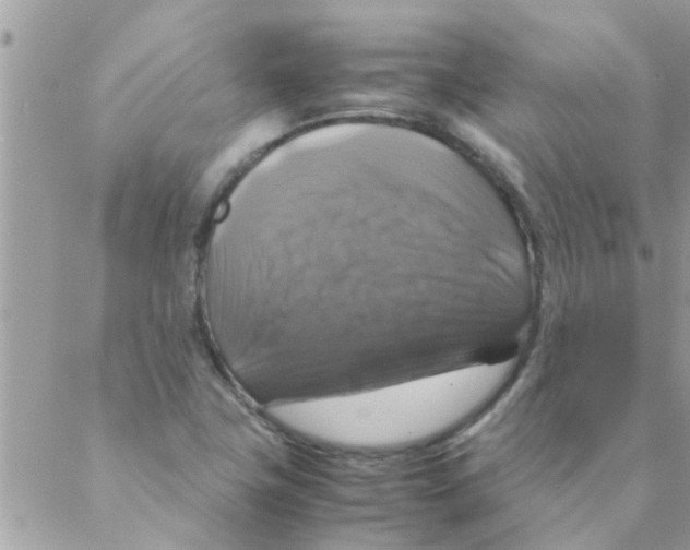 X0000088231411200706121844