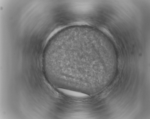 X0000088231412200706121844