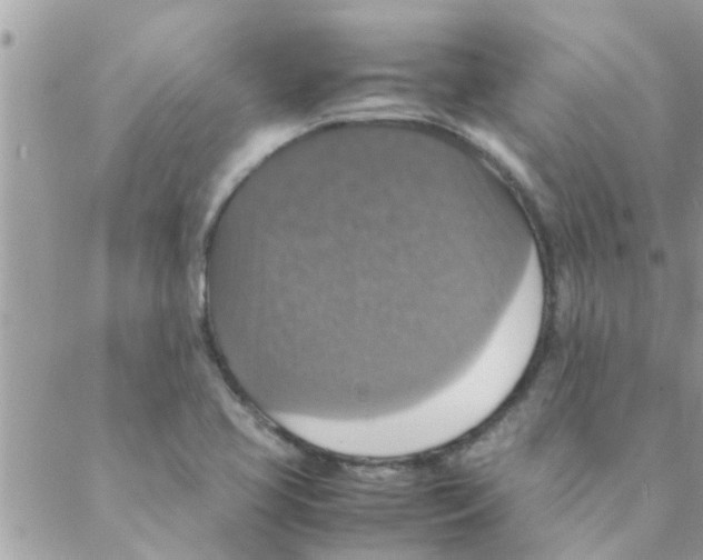 X0000088231413200706121844