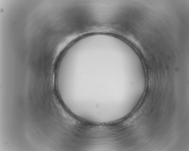 X0000088231414200706121844