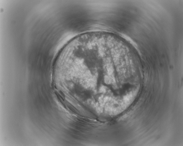 X0000088231415200706121844