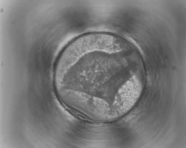 X0000088231416200706121844