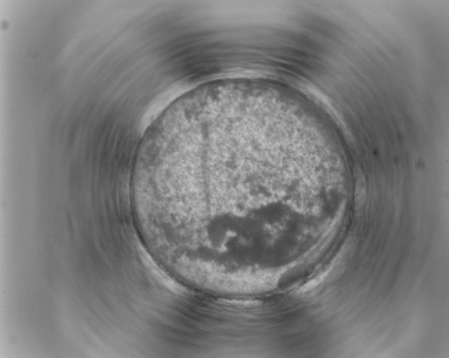 X0000088231417200706121844