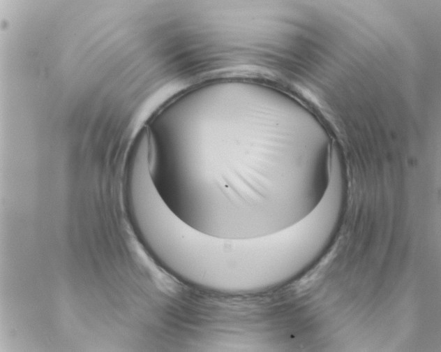 X0000088231418200706121844