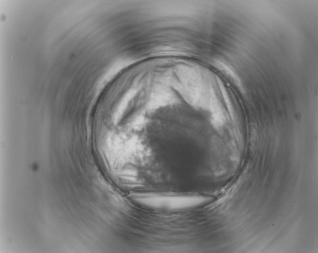 X0000088231419200706121844