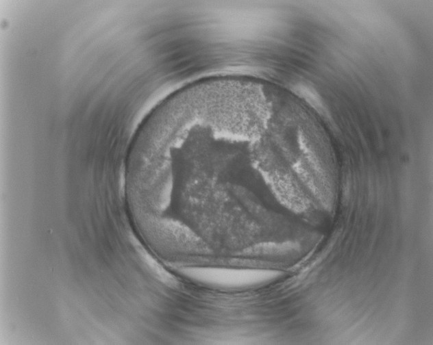 X0000088231420200706121844