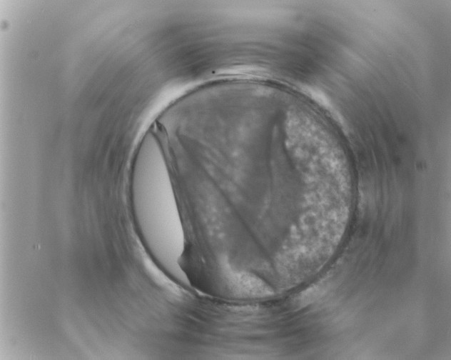 X0000088231421200706121845