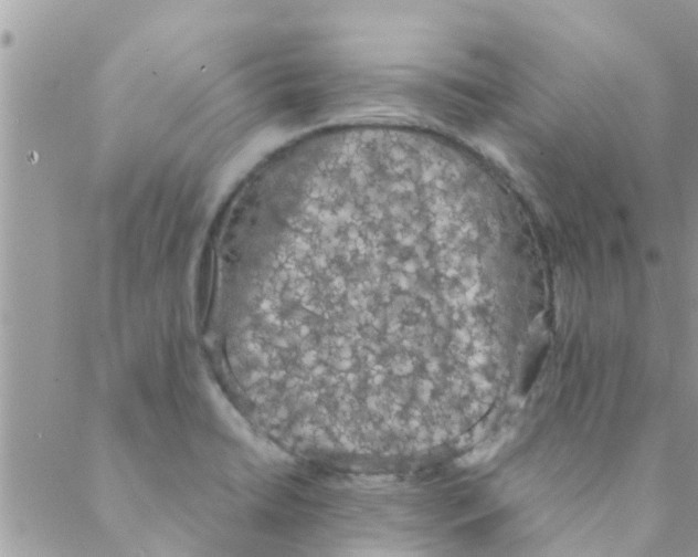 X0000088231422200706121845