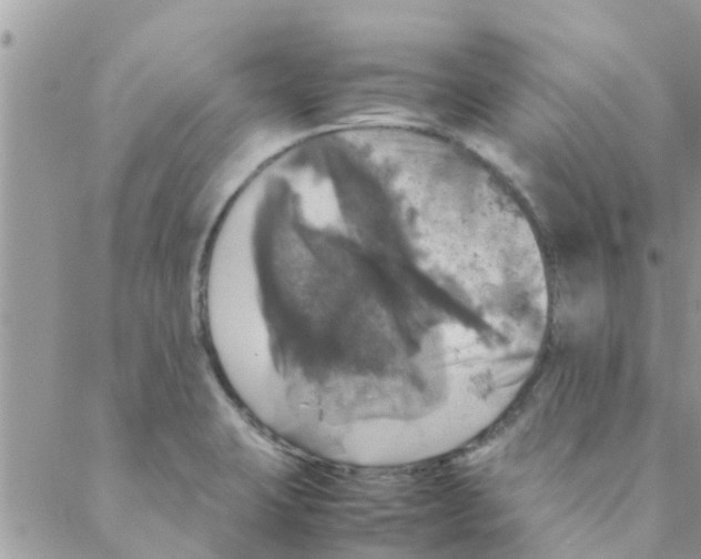 X0000088231423200706121845