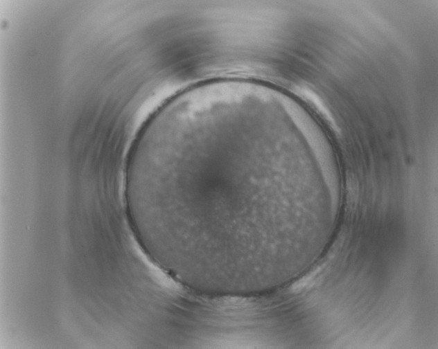 X0000088231424200706121845