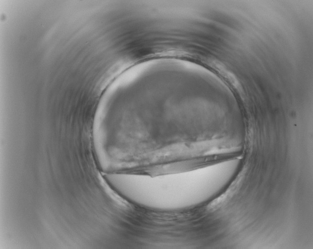 X0000088231425200706121845