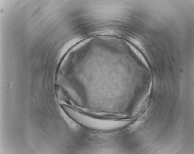 X0000088231426200706121845