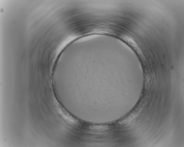 X0000088231427200706121845