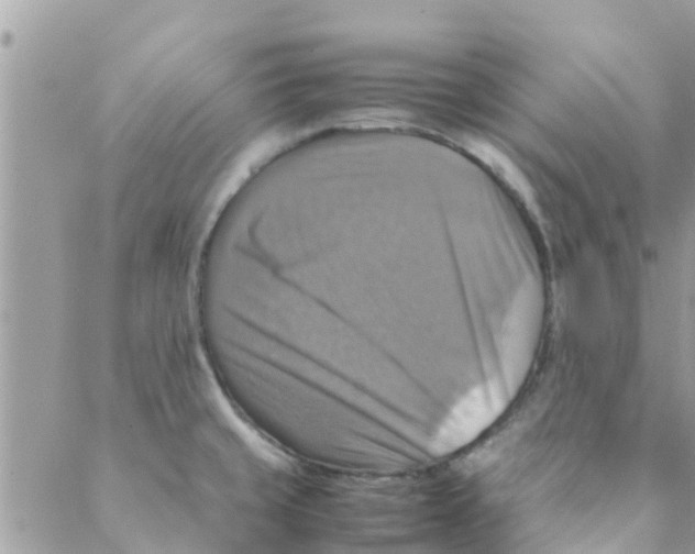 X0000088231429200706121845