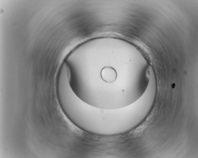 X0000088231430200706121845