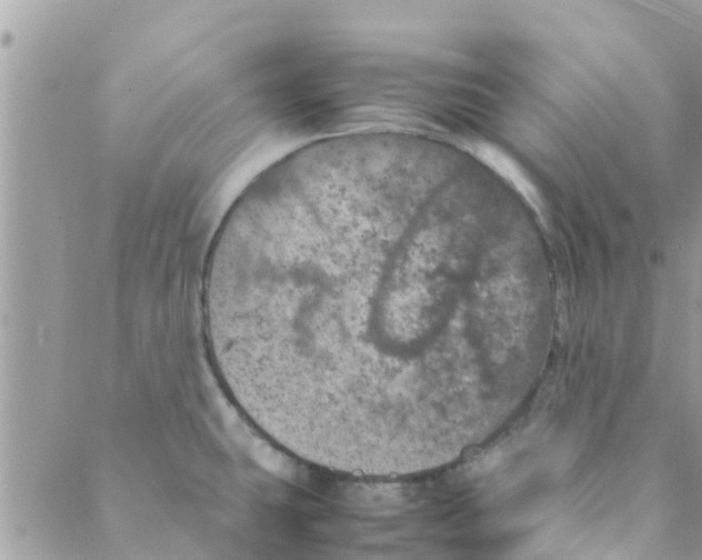 X0000088231431200706121845