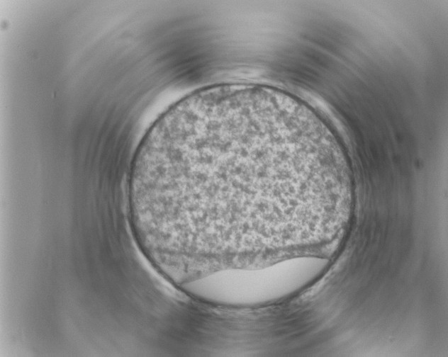 X0000088231432200706121845