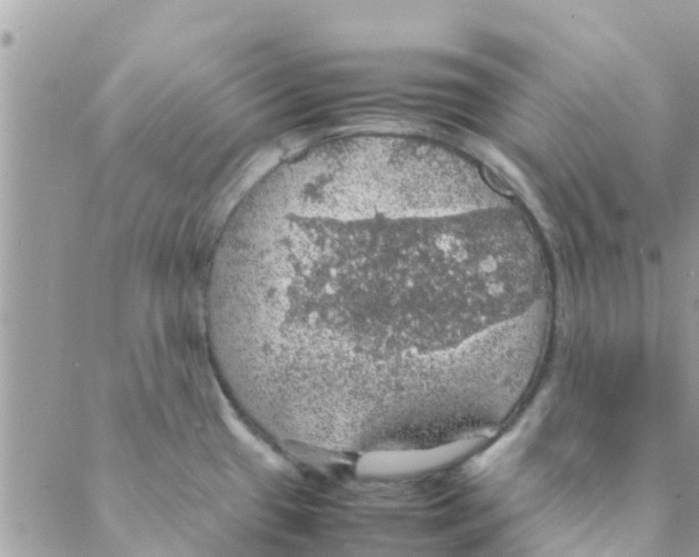 X0000088231433200706121845