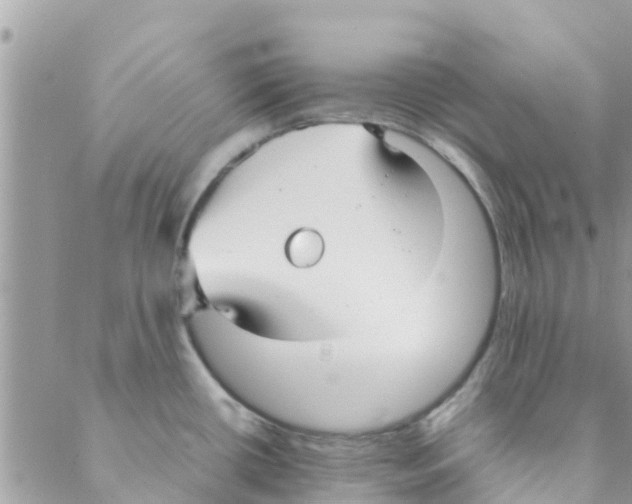 X0000088231434200706121845