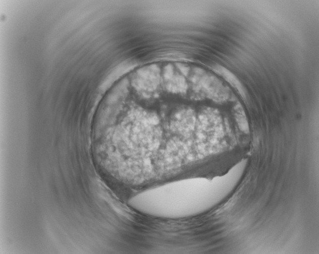 X0000088231435200706121845