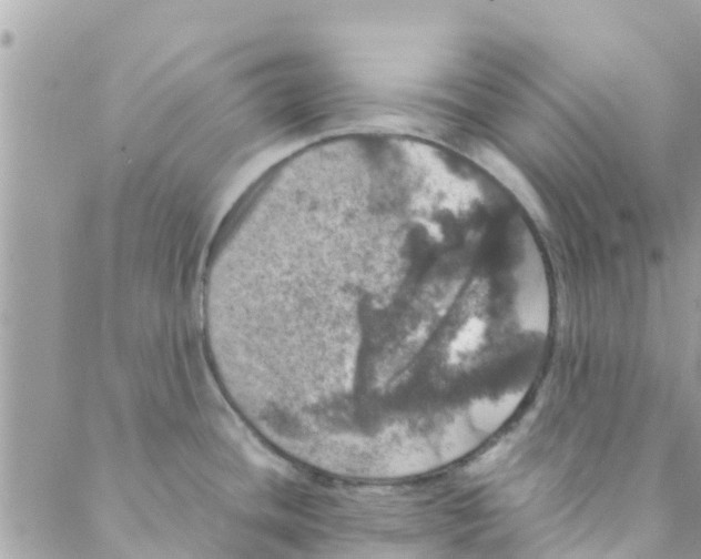 X0000088231436200706121845