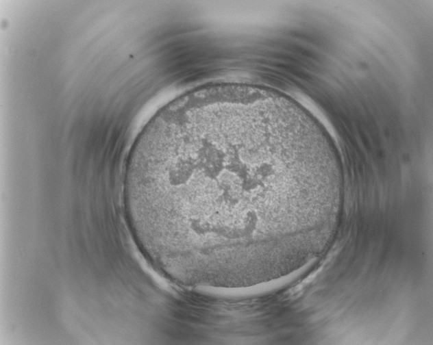 X0000088231437200706121845