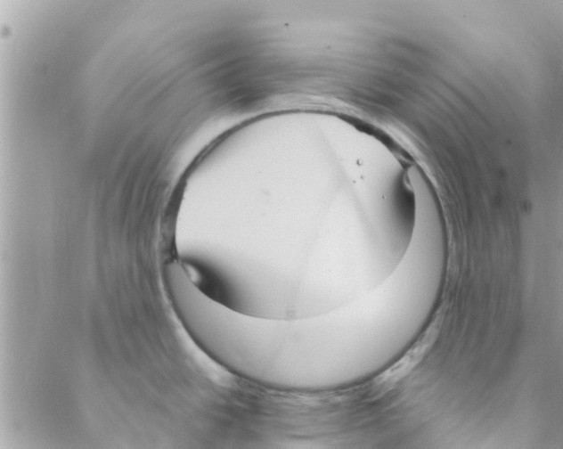 X0000088231438200706121845