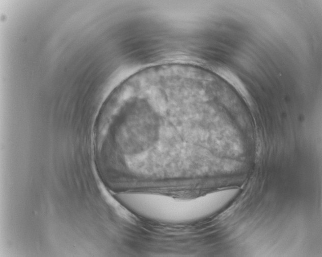 X0000088231439200706121845