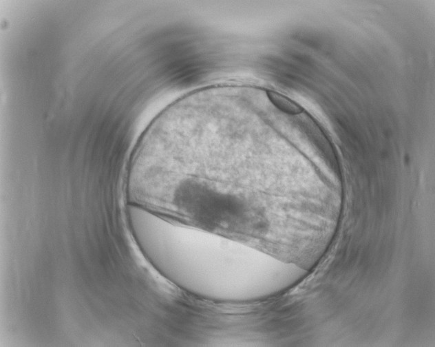 X0000088231440200706121845