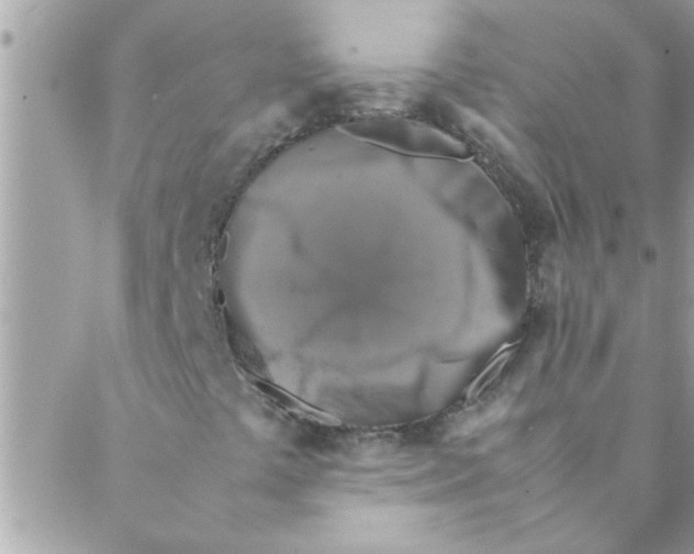 X0000088231441200706121844