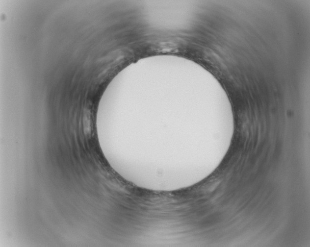 X0000088231442200706121844