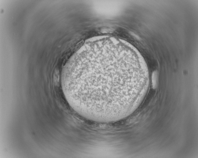 X0000088231443200706121844