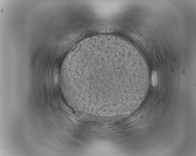 X0000088231444200706121844