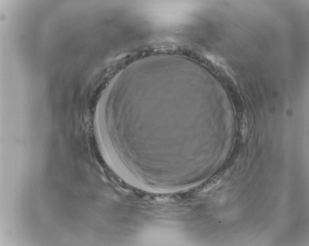 X0000088231445200706121844