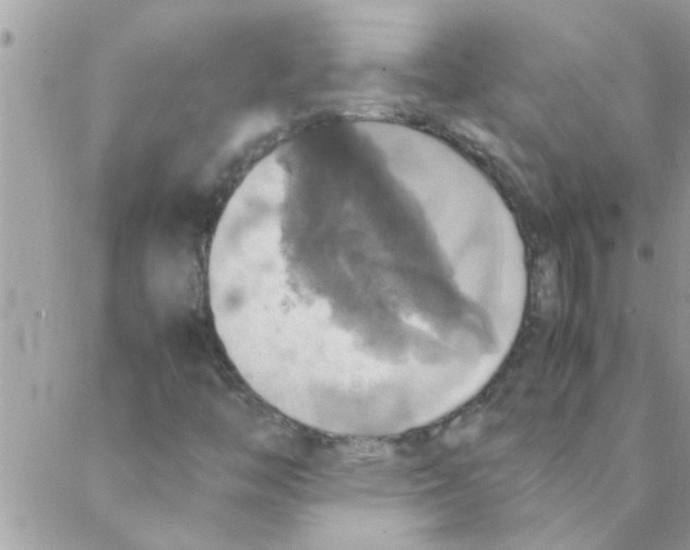 X0000088231446200706121844