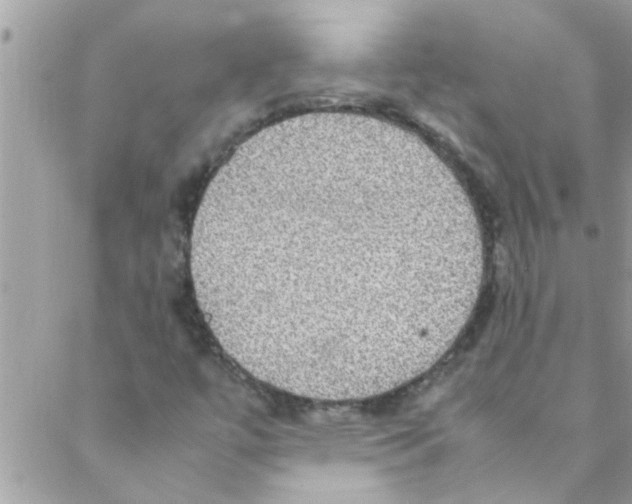 X0000088231447200706121844