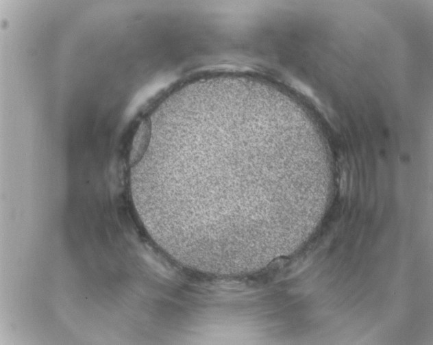 X0000088231448200706121844