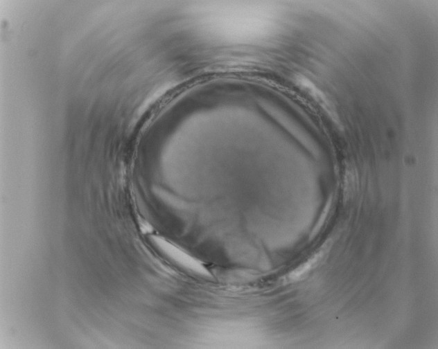 X0000088231449200706121844