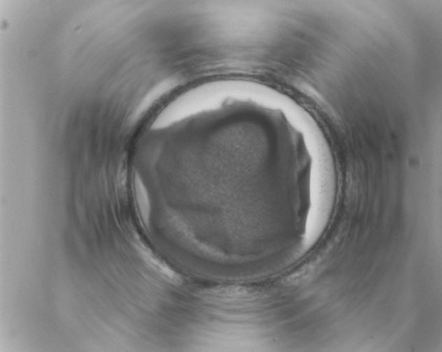 X0000088231450200706121844