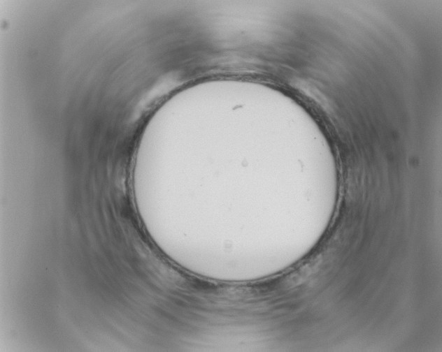 X0000088231451200706121844