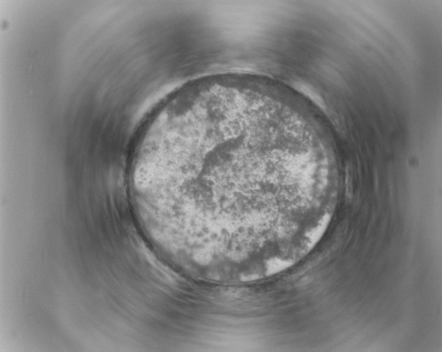 X0000088231452200706121844